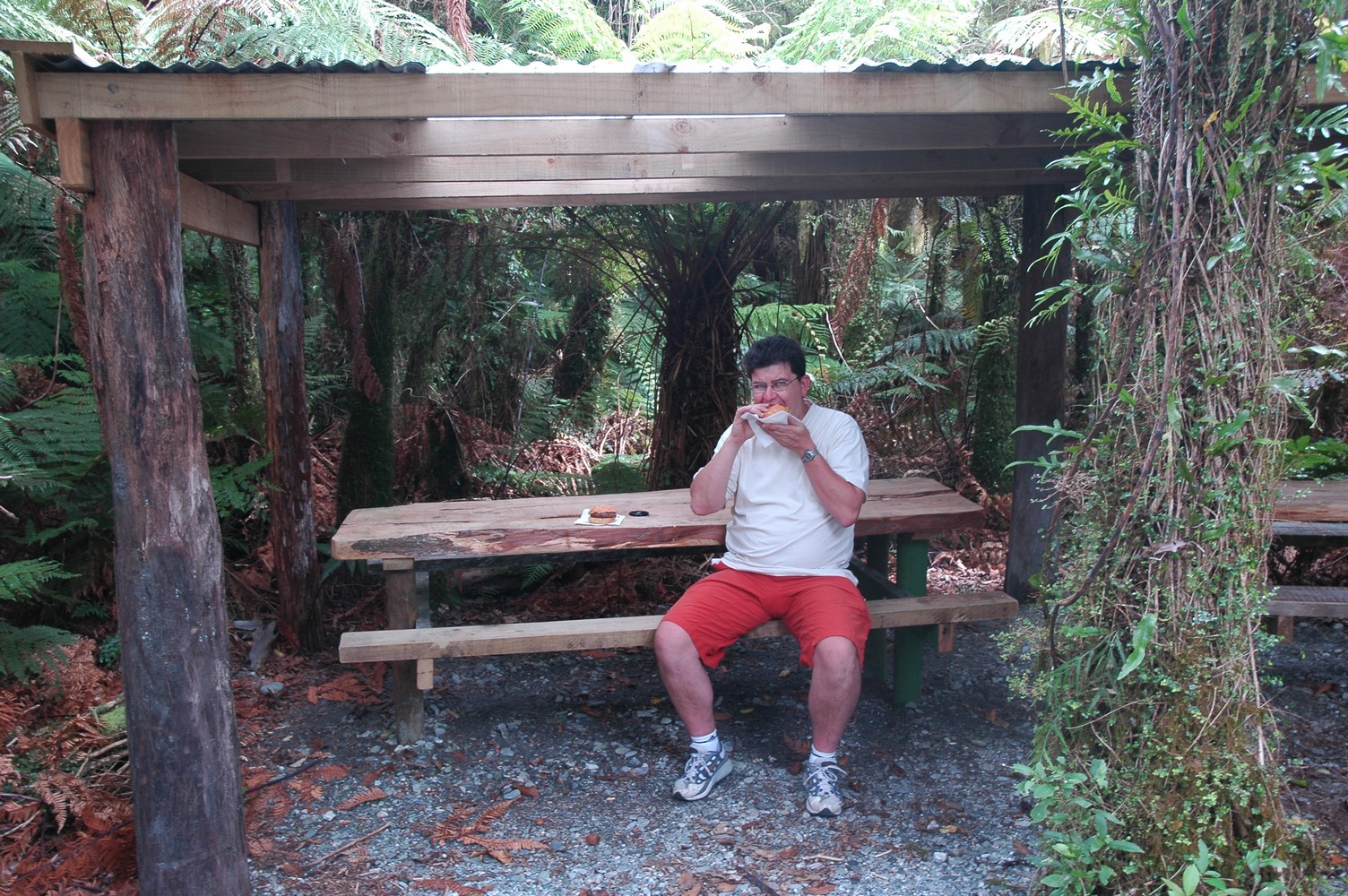 089   24 01   Greymouth   Fox Glacier